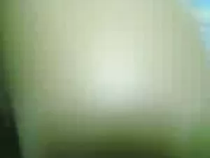 Doradcy podatkowi w  ...