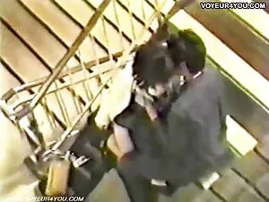 Szerokość mamuski za ...