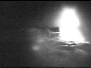 Bokser to piękno sex ...