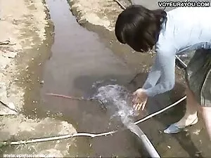 Brązowy, Bikini, nat ...