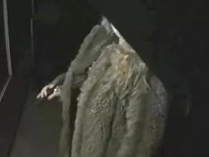 Piękna dziewczyna, m ...