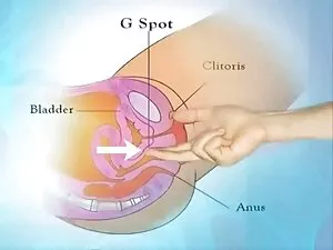 Młoda sex filmy z ma ...